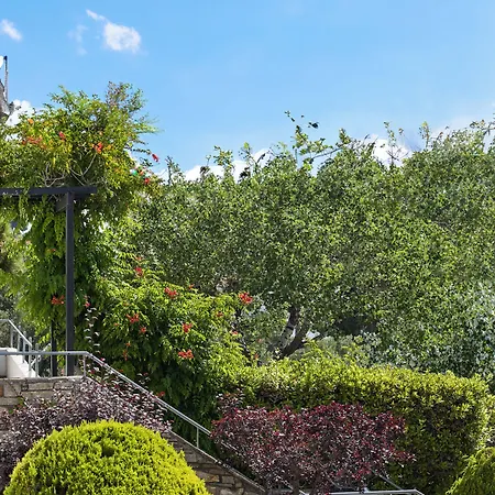 Aegean Suites, Santikos Collection (adults Only) Hotell Megali Ammos (Skiathos)