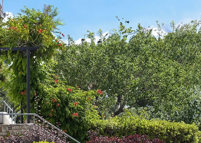 Aegean Suites, Santikos Collection (adults Only) Hotel Megali Ammos (Skiathos)